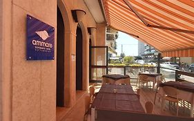 Hotel Ammare